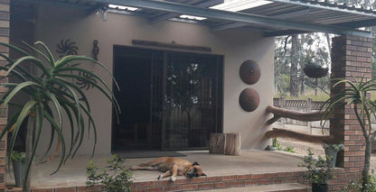 Woodstay Lodge Newcastle Kwazulu Natal South Africa Unsaturated, Dog, Mammal, Animal, Pet