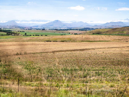 Woodys Wood Cabin Himeville Kwazulu Natal South Africa Complementary Colors, Field, Nature, Agriculture, Lowland