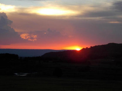 Woolly Bugger Farm Dullstroom Mpumalanga South Africa Sky, Nature, Sunset