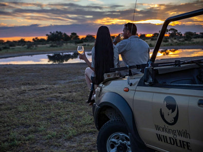 Working With Wildlife, Silhouette, Person