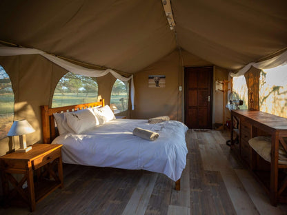 Working With Wildlife, Classic Queen Room, Tent, Architecture, Bedroom