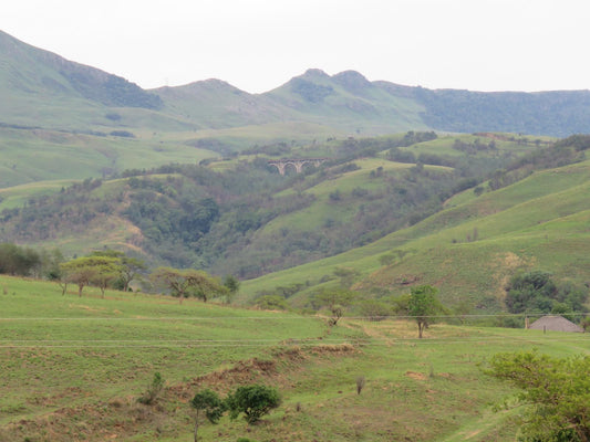 Wyford Farm Van Reenens Pass Kwazulu Natal South Africa Mountain, Nature, Highland