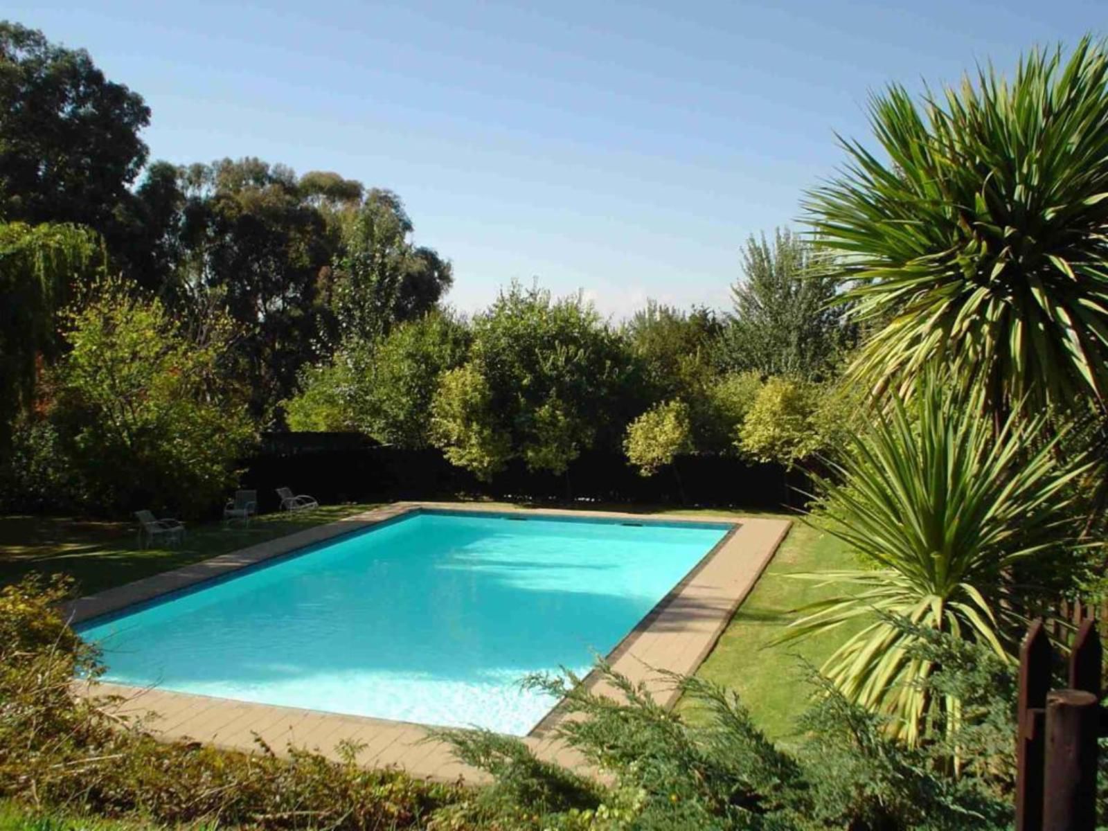 Wyndford Holiday Farm Fouriesburg Free State South Africa Complementary Colors, Garden, Nature, Plant, Swimming Pool