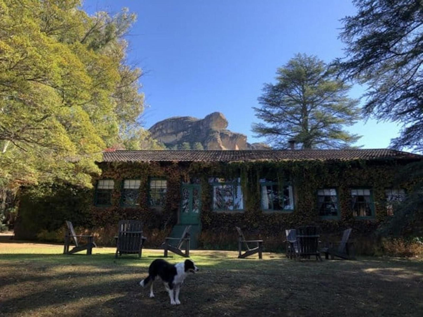 Wyndford Holiday Farm Fouriesburg Free State South Africa Complementary Colors