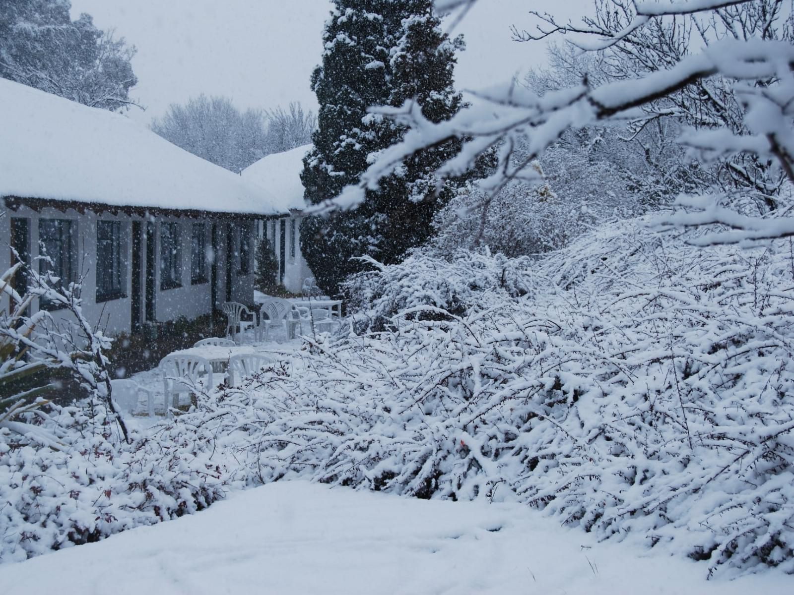 Wyndford Holiday Farm Fouriesburg Free State South Africa Nature, Winter Landscape, Snow, Winter