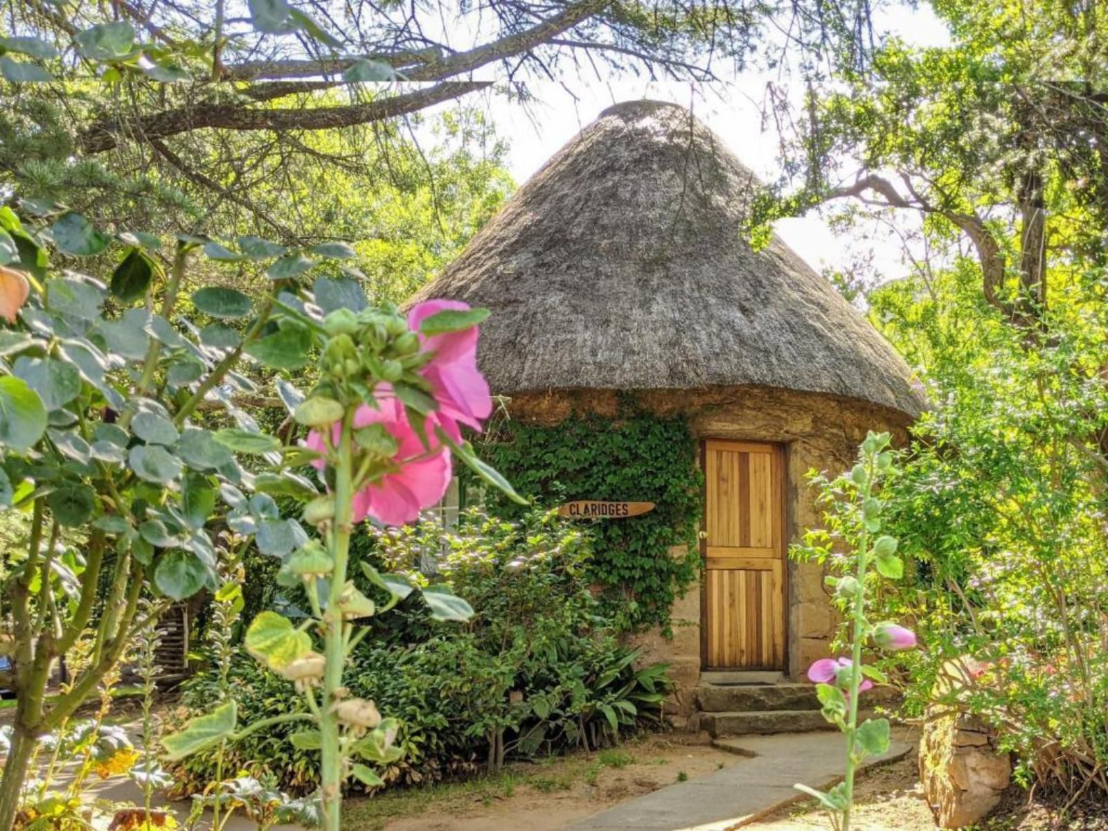 Wyndford Holiday Farm Fouriesburg Free State South Africa Plant, Nature, Garden