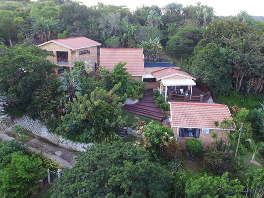 Xanadu Guest House Port Shepstone Kwazulu Natal South Africa Building, Architecture, House, Palm Tree, Plant, Nature, Wood