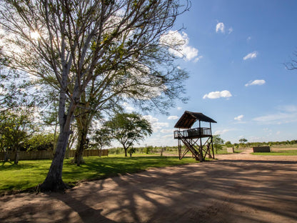 Xanatseni Private Camp Klaserie Private Nature Reserve Mpumalanga South Africa Lowland, Nature