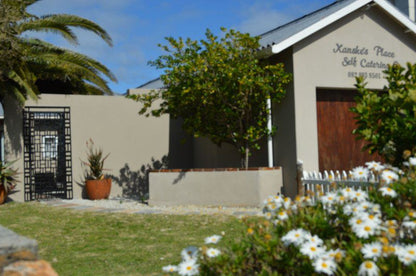 Xanske S Place With Wood Fired Hot Tub Kleinmond Western Cape South Africa House, Building, Architecture, Palm Tree, Plant, Nature, Wood