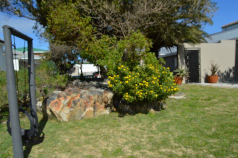 Xanske S Place With Wood Fired Hot Tub Kleinmond Western Cape South Africa Plant, Nature