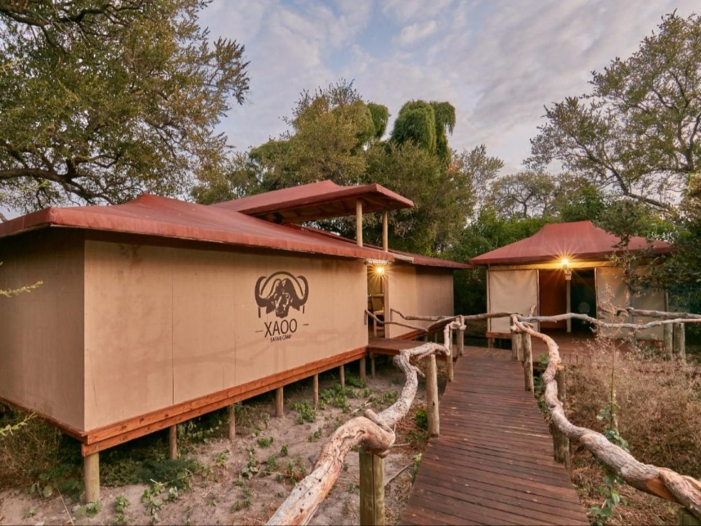 Xaoo Safari Camp