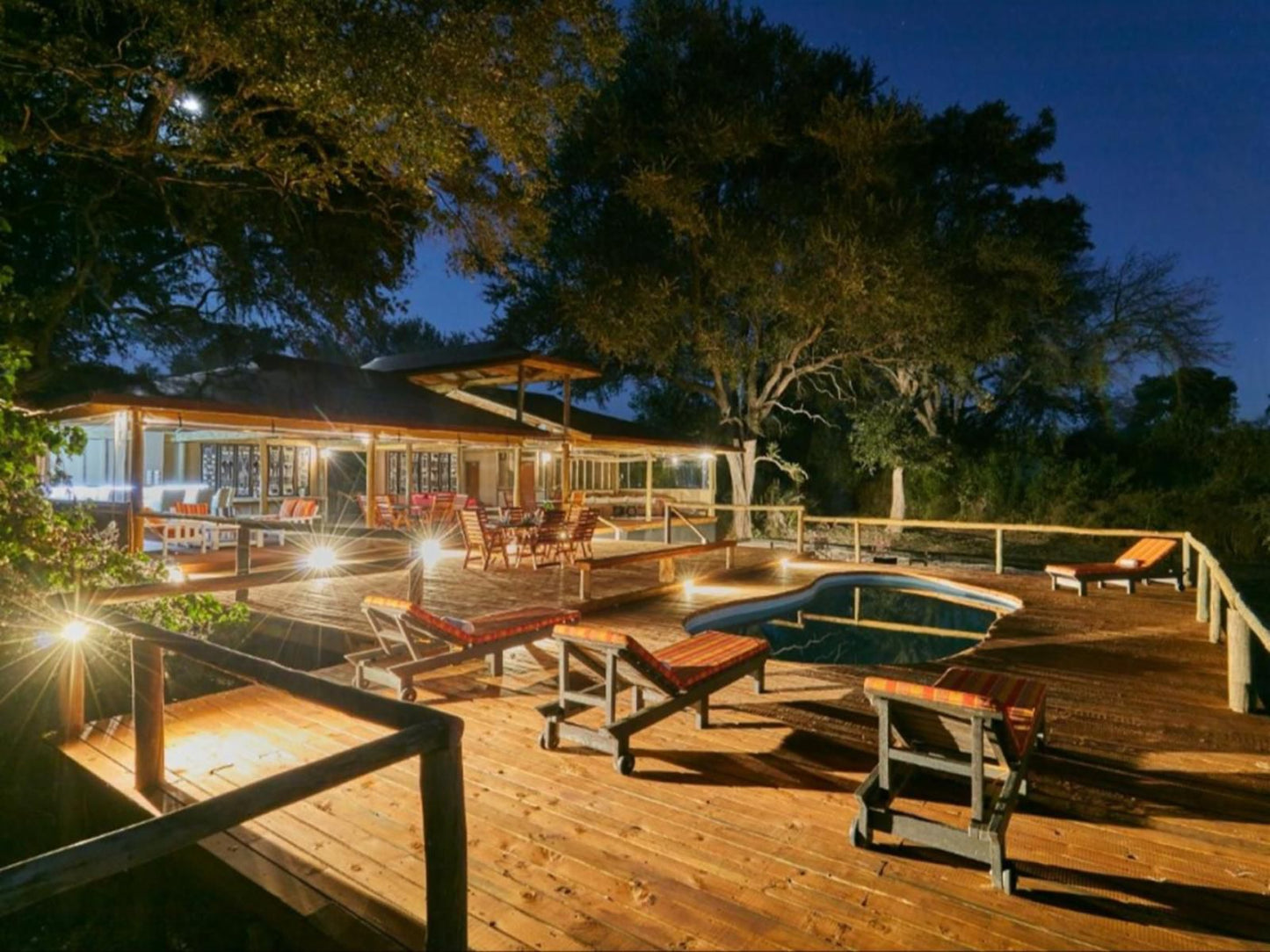 Xaoo Safari Camp, Bar, Swimming Pool