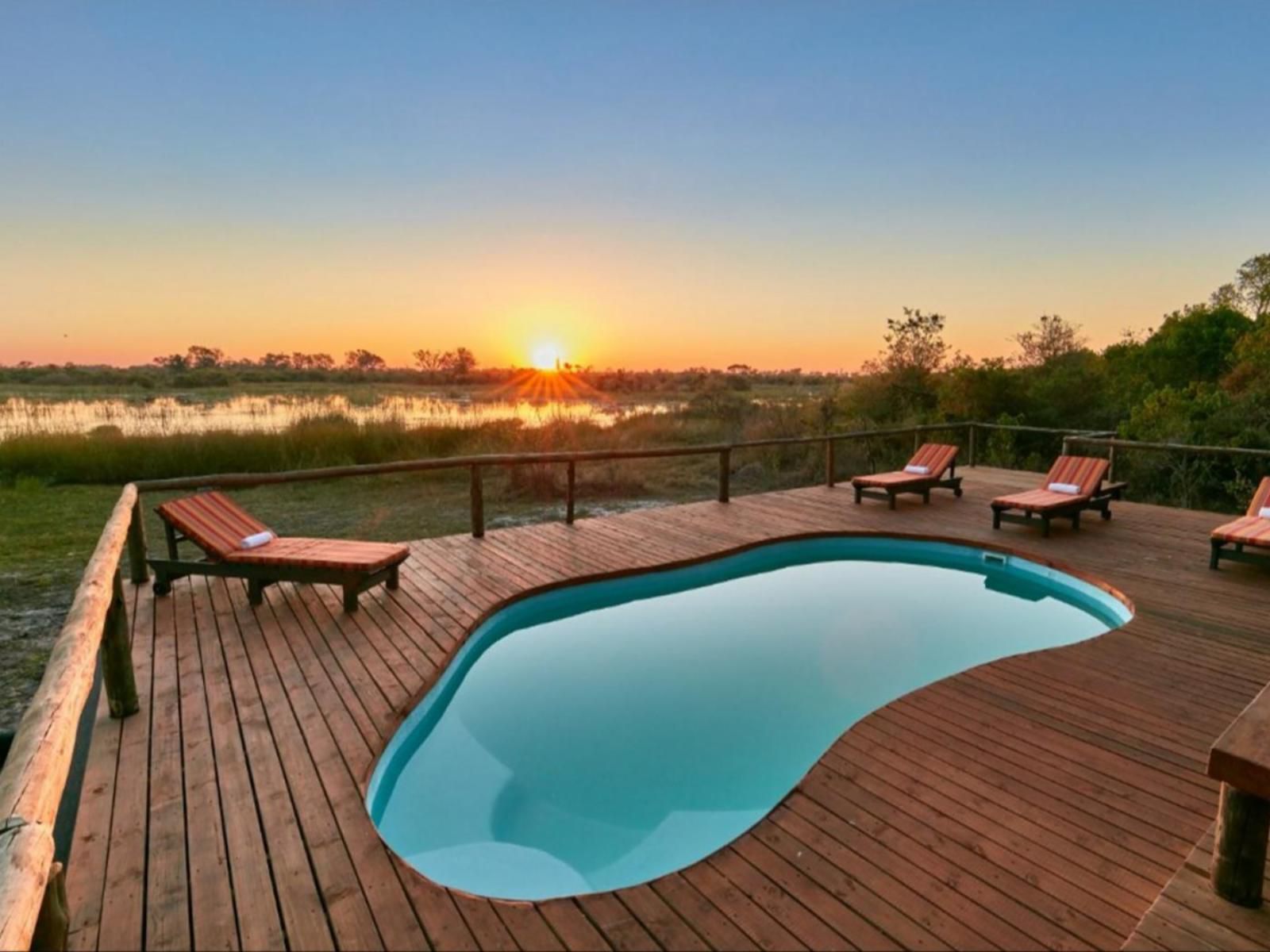 Xaoo Safari Camp, Swimming Pool