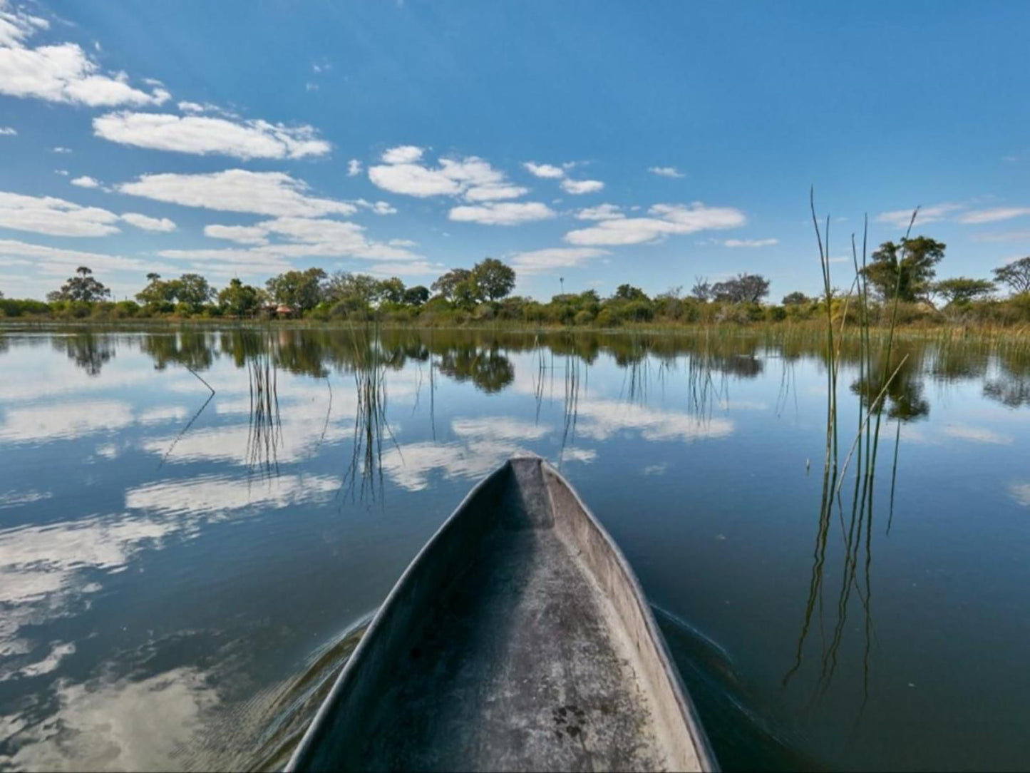 Xaoo Safari Camp, Boat, Vehicle