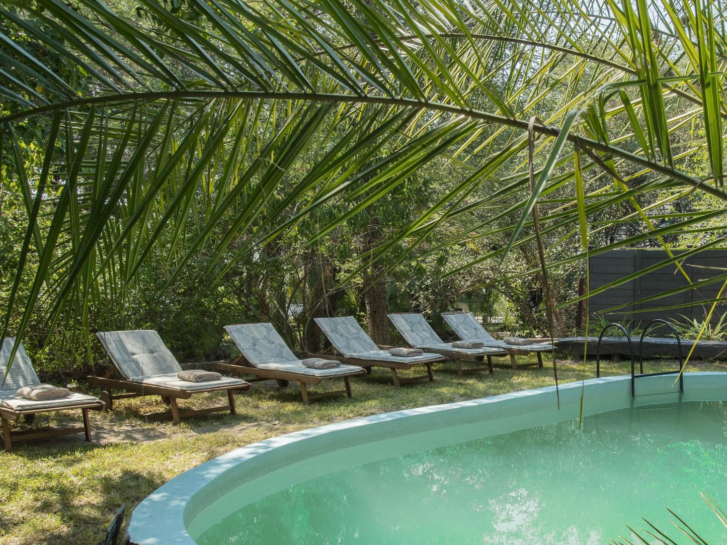 Xaro Lodge Shakawe North West Botswana Palm Tree, Plant, Nature, Wood, Swimming Pool