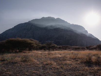 Xaro Lodge Shakawe North West Botswana Nature