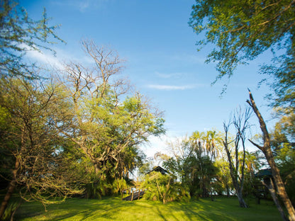 Xaro Lodge Shakawe North West Botswana Complementary Colors, Plant, Nature, Tree, Wood, Garden