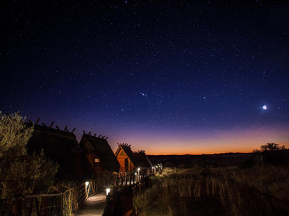 !Xaus Lodge, Twin/King Bed Chalet, Night Sky, Nature