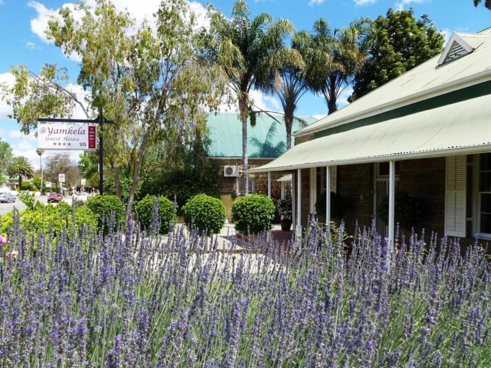 Yamkela Guest House Oudtshoorn Western Cape South Africa House, Building, Architecture, Plant, Nature, Garden