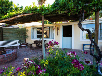 Yellow House Prince Albert Western Cape South Africa House, Building, Architecture, Palm Tree, Plant, Nature, Wood, Garden