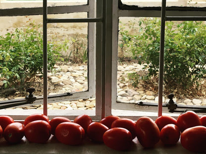 Yellow House Prince Albert Western Cape South Africa Tomato, Vegetable, Food