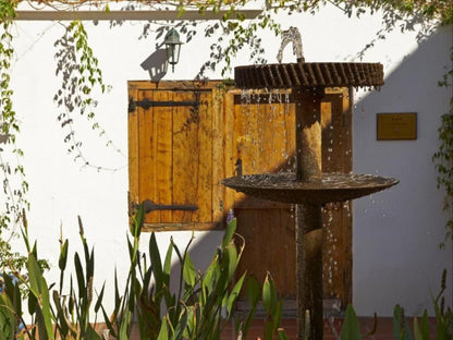 Yellow Aloe Guesthouse Clanwilliam Western Cape South Africa Rain, Nature