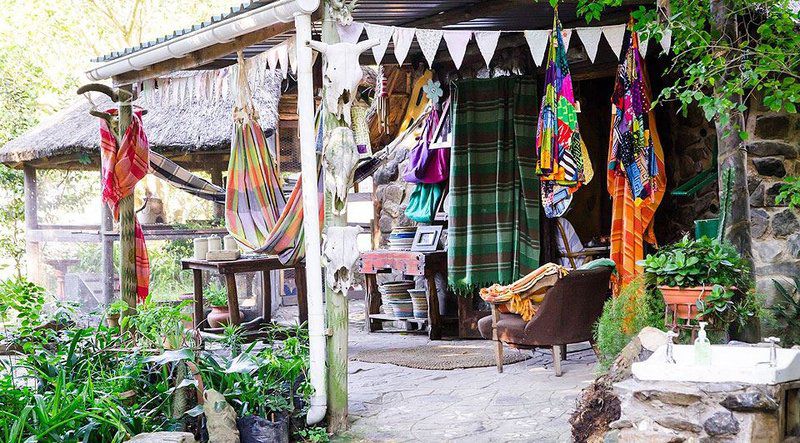 Yellowwood Forest Morgan Bay Eastern Cape South Africa Market, City