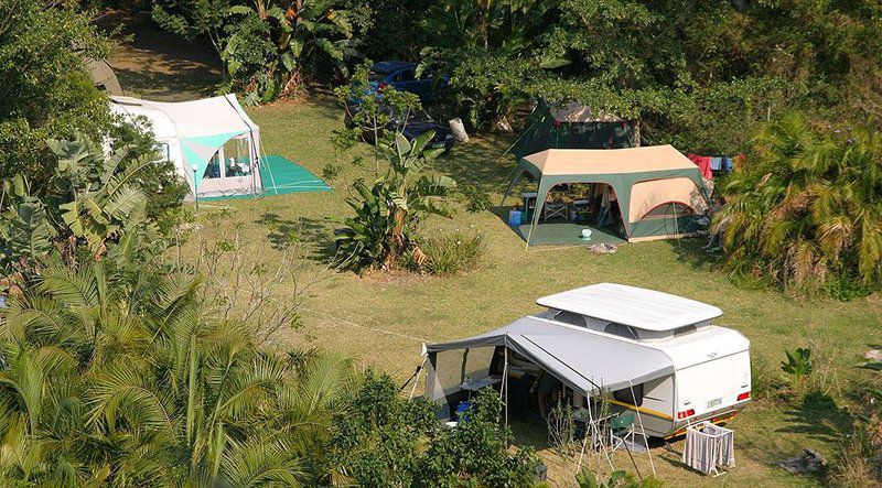 Yellowwood Forest Morgan Bay Eastern Cape South Africa Tent, Architecture, Swimming Pool