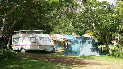 Yellowwood Forest Morgan Bay Eastern Cape South Africa Tent, Architecture