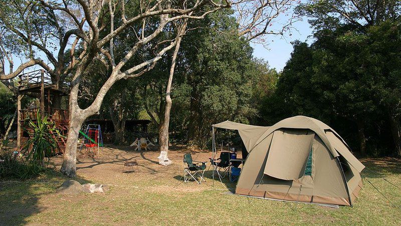 Yellowwood Forest Morgan Bay Eastern Cape South Africa Tent, Architecture