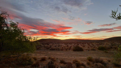 Ymansdam Camping And Self Catering Cottage Calvinia Northern Cape South Africa Cactus, Plant, Nature, Desert, Sand, Sunset, Sky