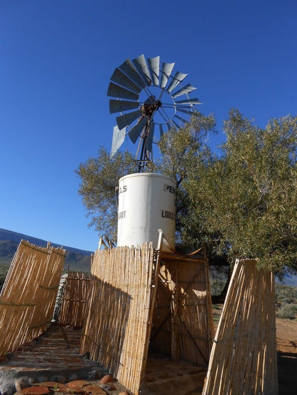 Ymansdam Camping And Self Catering Cottage Calvinia Northern Cape South Africa Cactus, Plant, Nature, Windmill, Building, Architecture