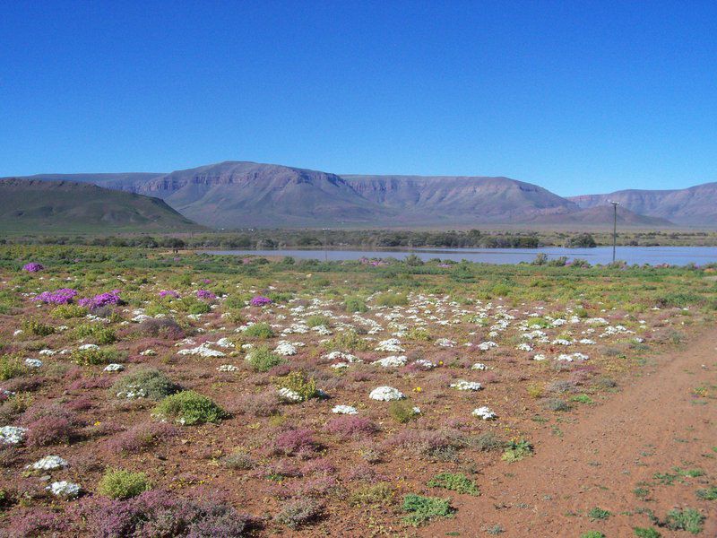 Ymansdam Camping And Self Catering Cottage Calvinia Northern Cape South Africa Complementary Colors, Desert, Nature, Sand