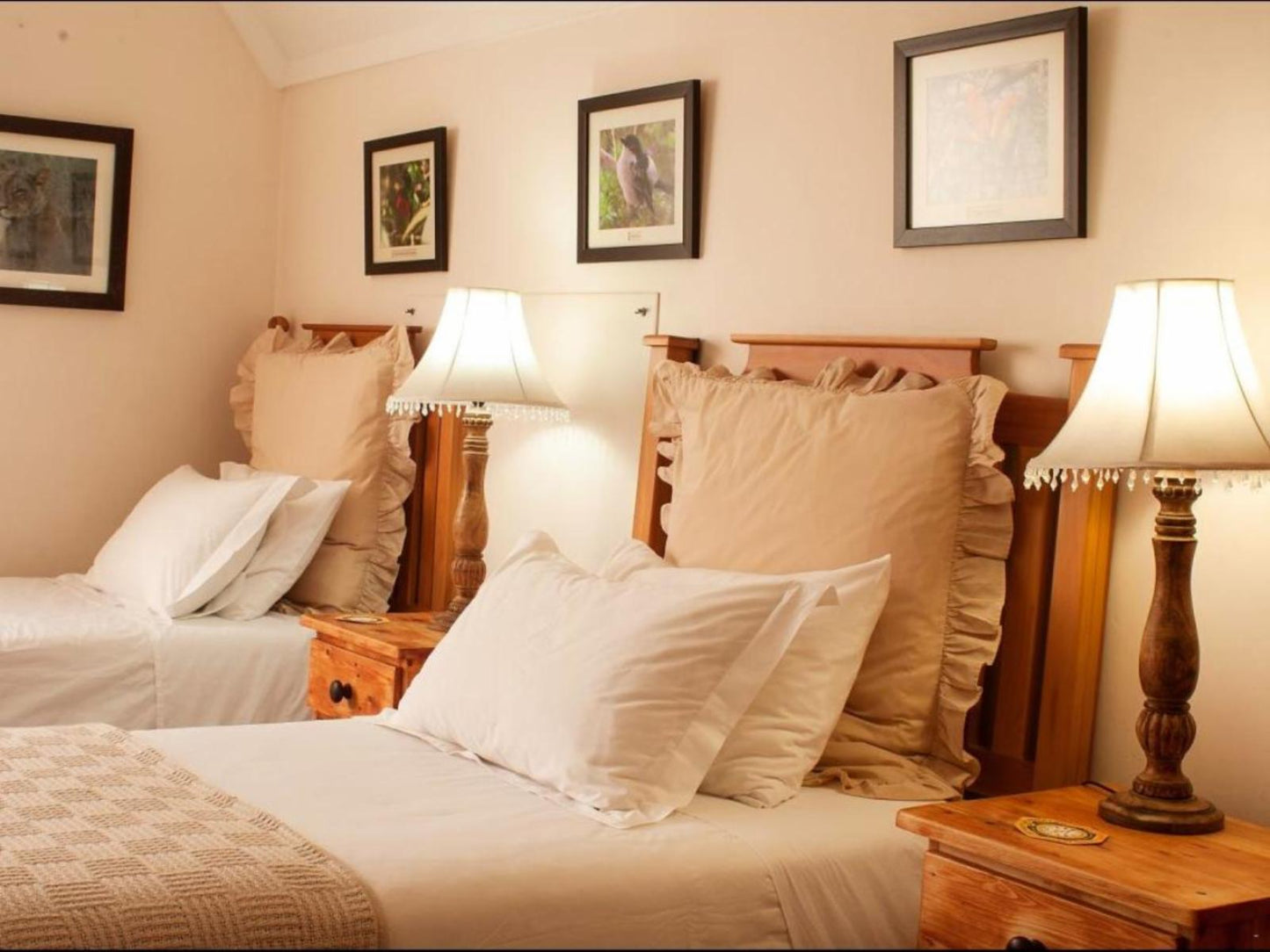 Self-catering Double Room With Twin Beds @ York House B & B