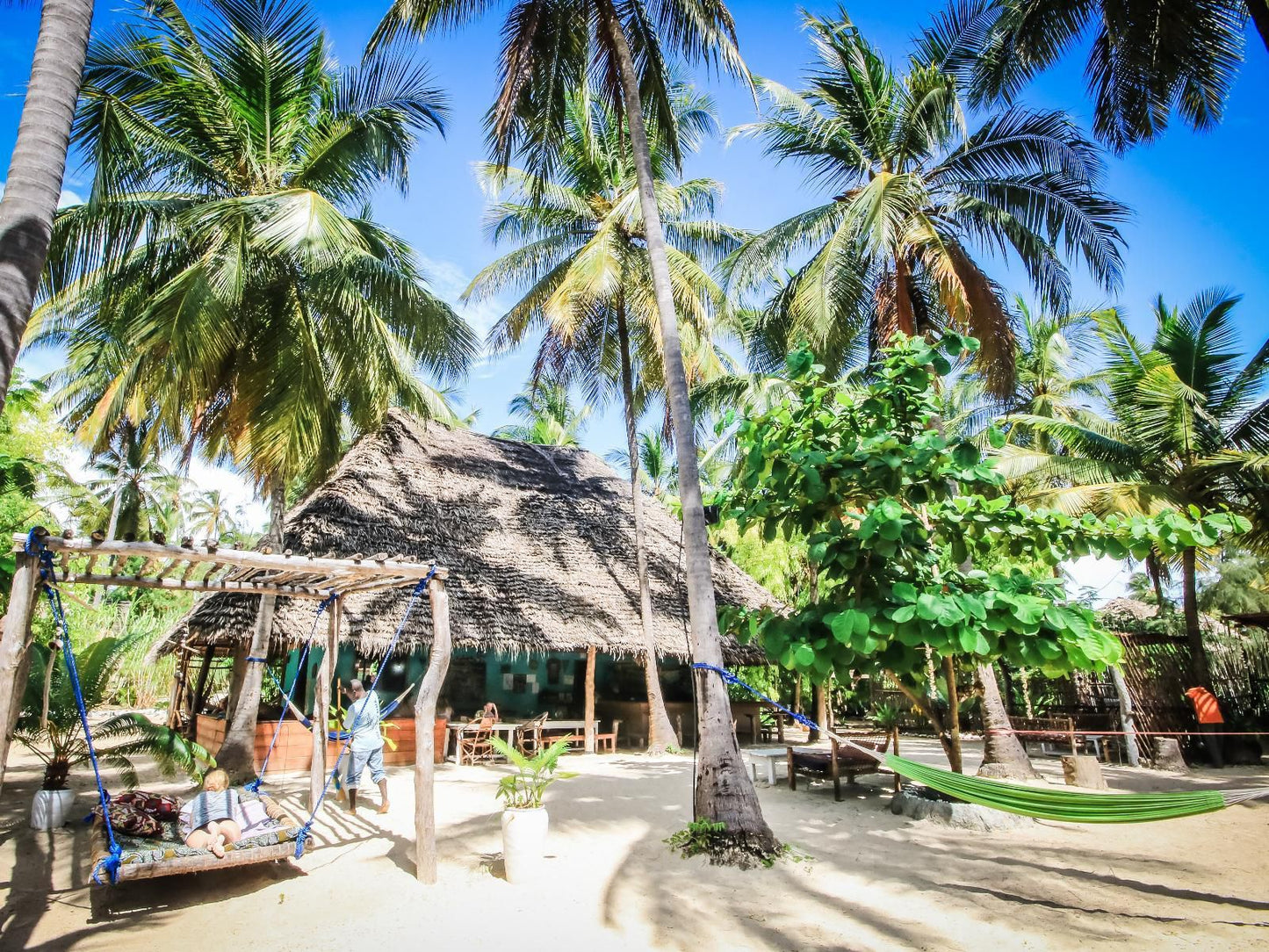 Your Zanzibar Place, Beach, Nature, Sand, Island, Palm Tree, Plant, Wood, Person