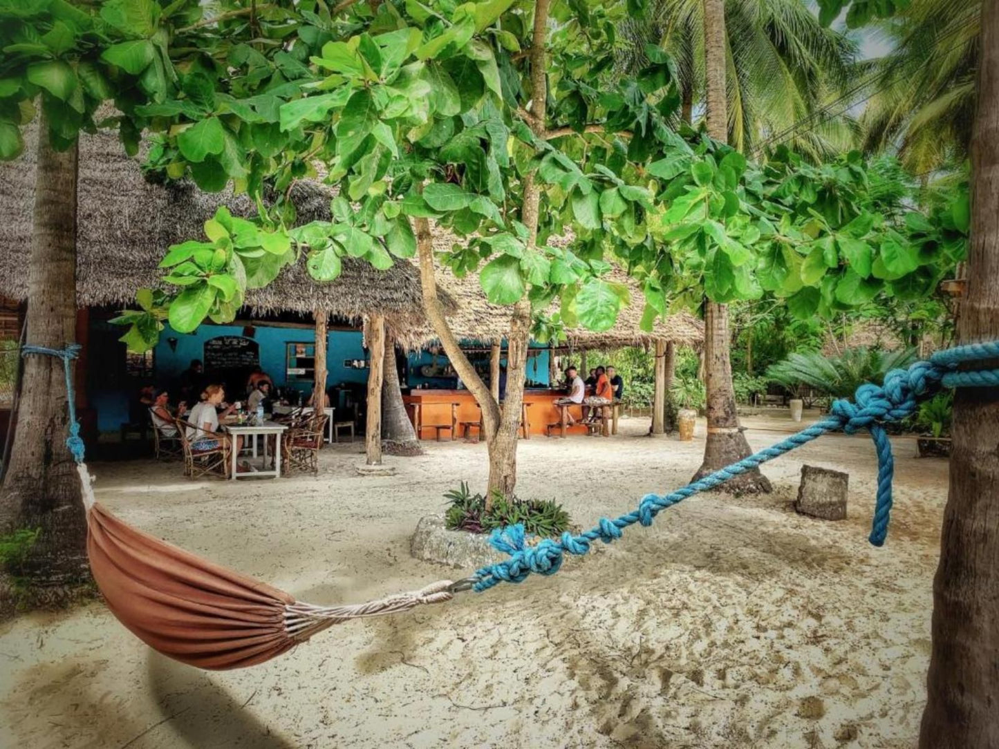 Your Zanzibar Place, Beach, Nature, Sand, Island