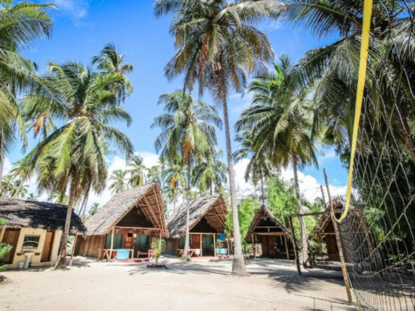 Your Zanzibar Place, Beach, Nature, Sand, Island, Palm Tree, Plant, Wood