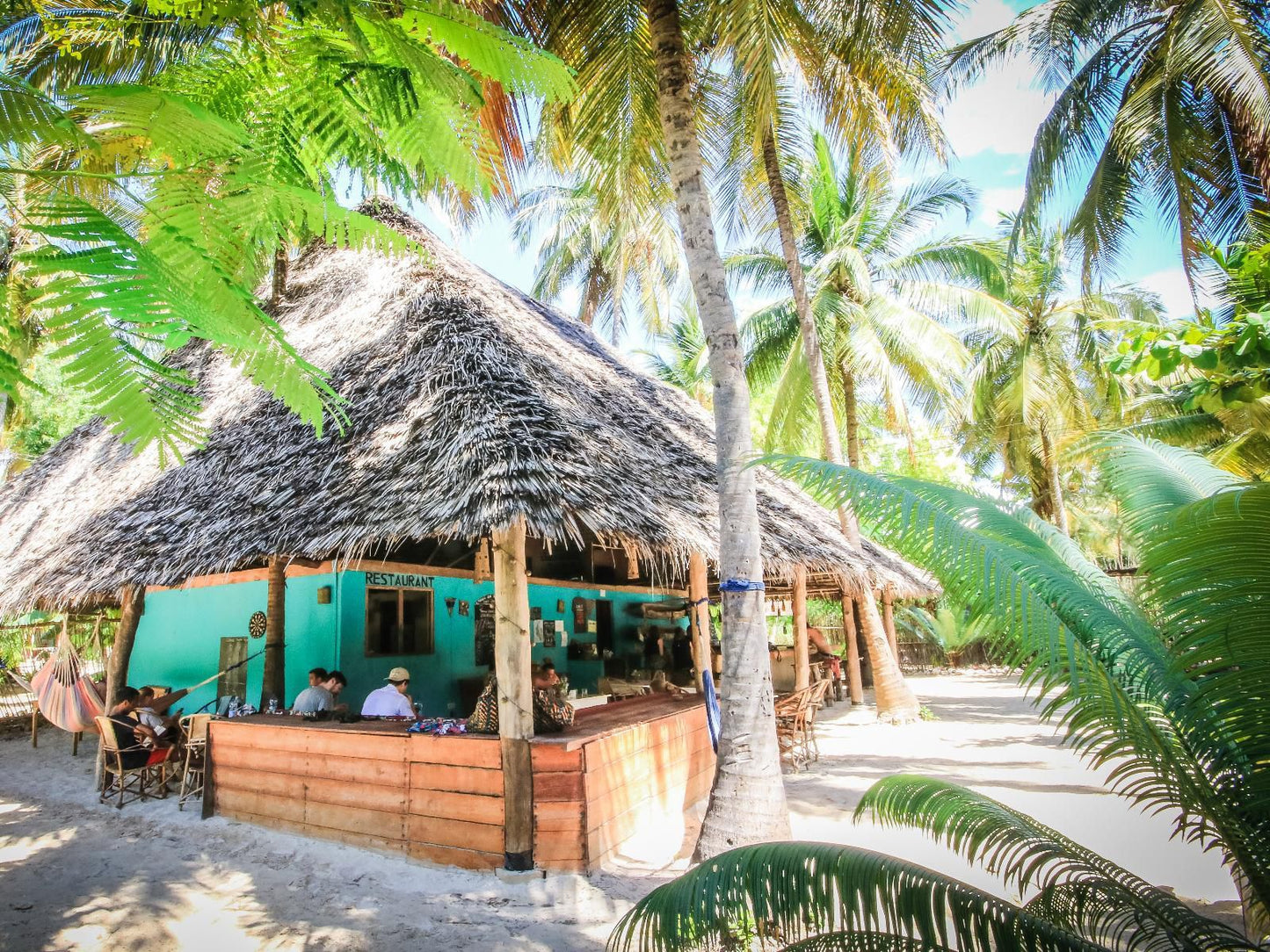 Your Zanzibar Place, Beach, Nature, Sand, Island, Palm Tree, Plant, Wood