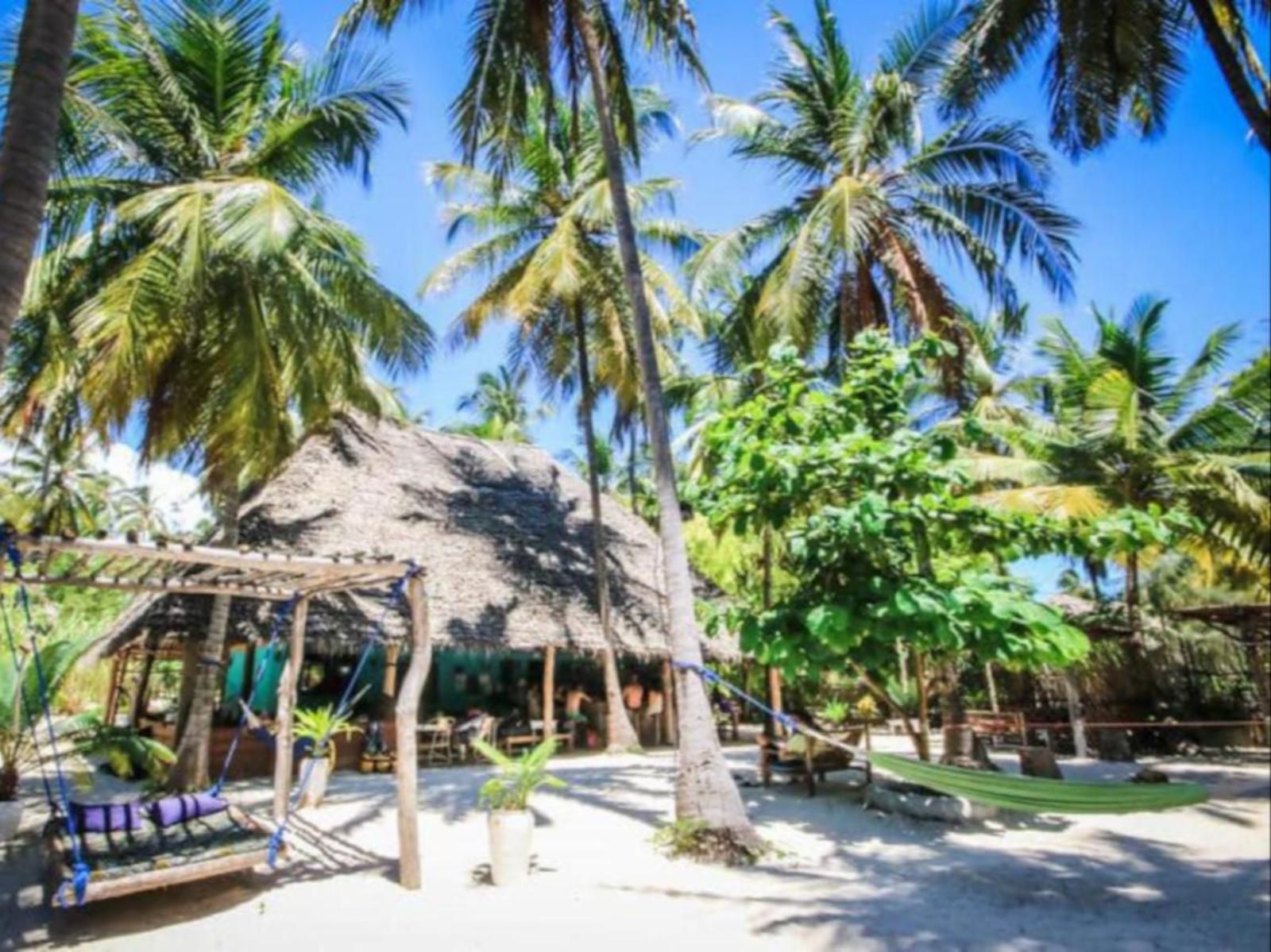 Your Zanzibar Place, Beach, Nature, Sand, Island, Palm Tree, Plant, Wood