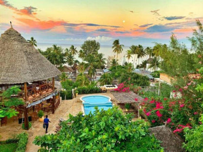 Zan View Hotel, Beach, Nature, Sand, Island, Palm Tree, Plant, Wood