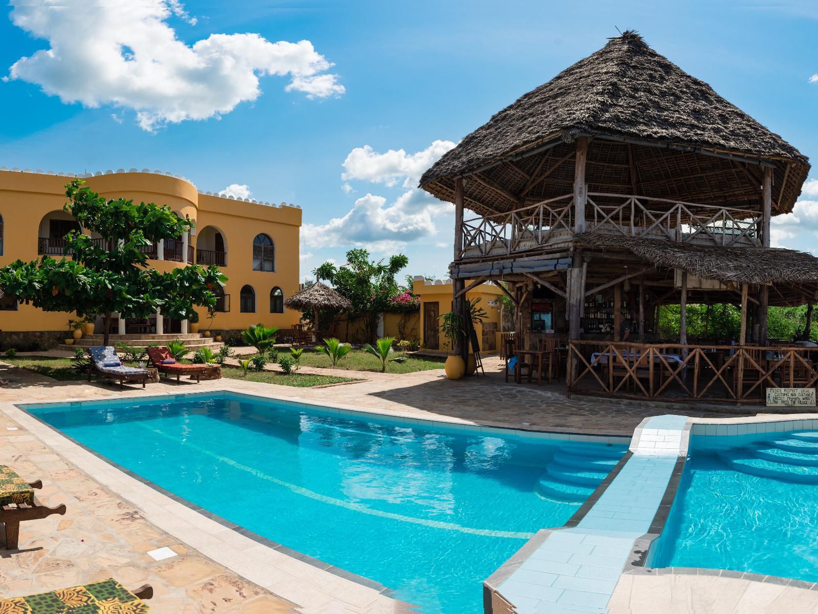 Zan View Hotel, Palm Tree, Plant, Nature, Wood, Swimming Pool