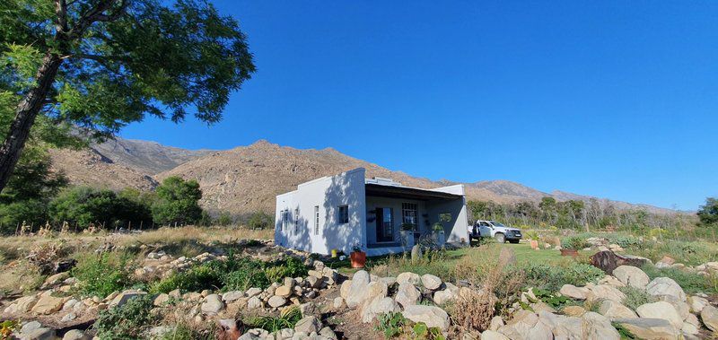 Zandrivier Working Farm Seweweekspoort Western Cape South Africa Complementary Colors, Cactus, Plant, Nature, Desert, Sand