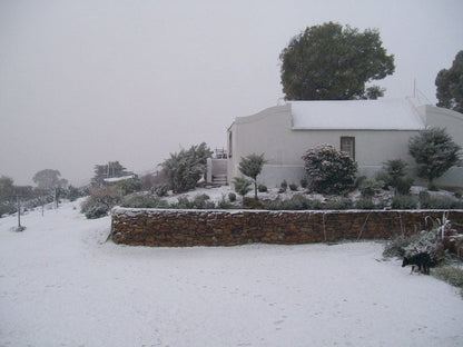 Zandrivier Working Farm Seweweekspoort Western Cape South Africa Unsaturated, Nature