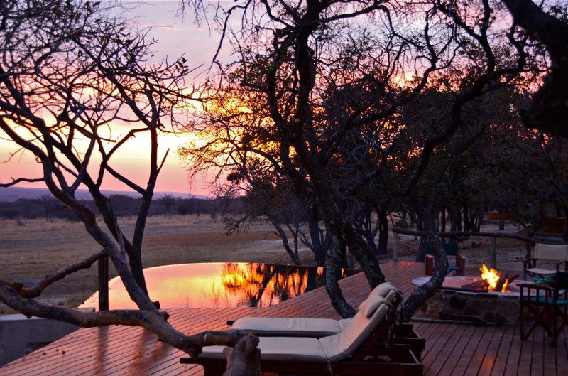 Zangarna Game Lodge Vaalwater Limpopo Province South Africa Nature