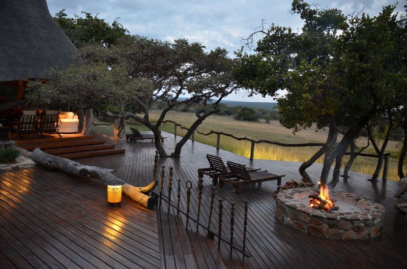 Zangarna Game Lodge Vaalwater Limpopo Province South Africa 