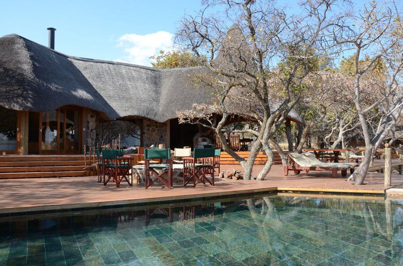 Zangarna Game Lodge Vaalwater Limpopo Province South Africa Swimming Pool