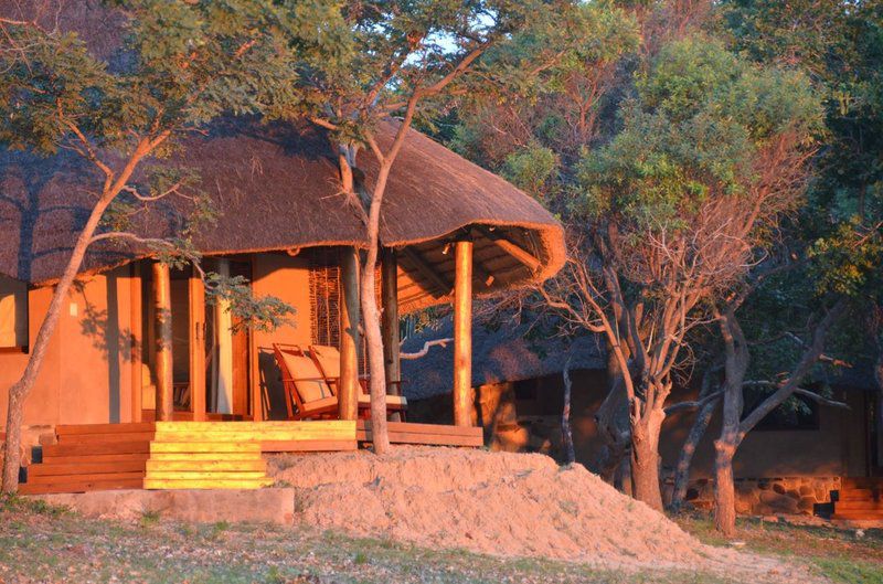 Zangarna Game Lodge Vaalwater Limpopo Province South Africa 