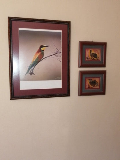Sebaga S Place Christiana North West Province South Africa Kingfisher, Bird, Animal, Art Gallery, Art, Painting, Picture Frame