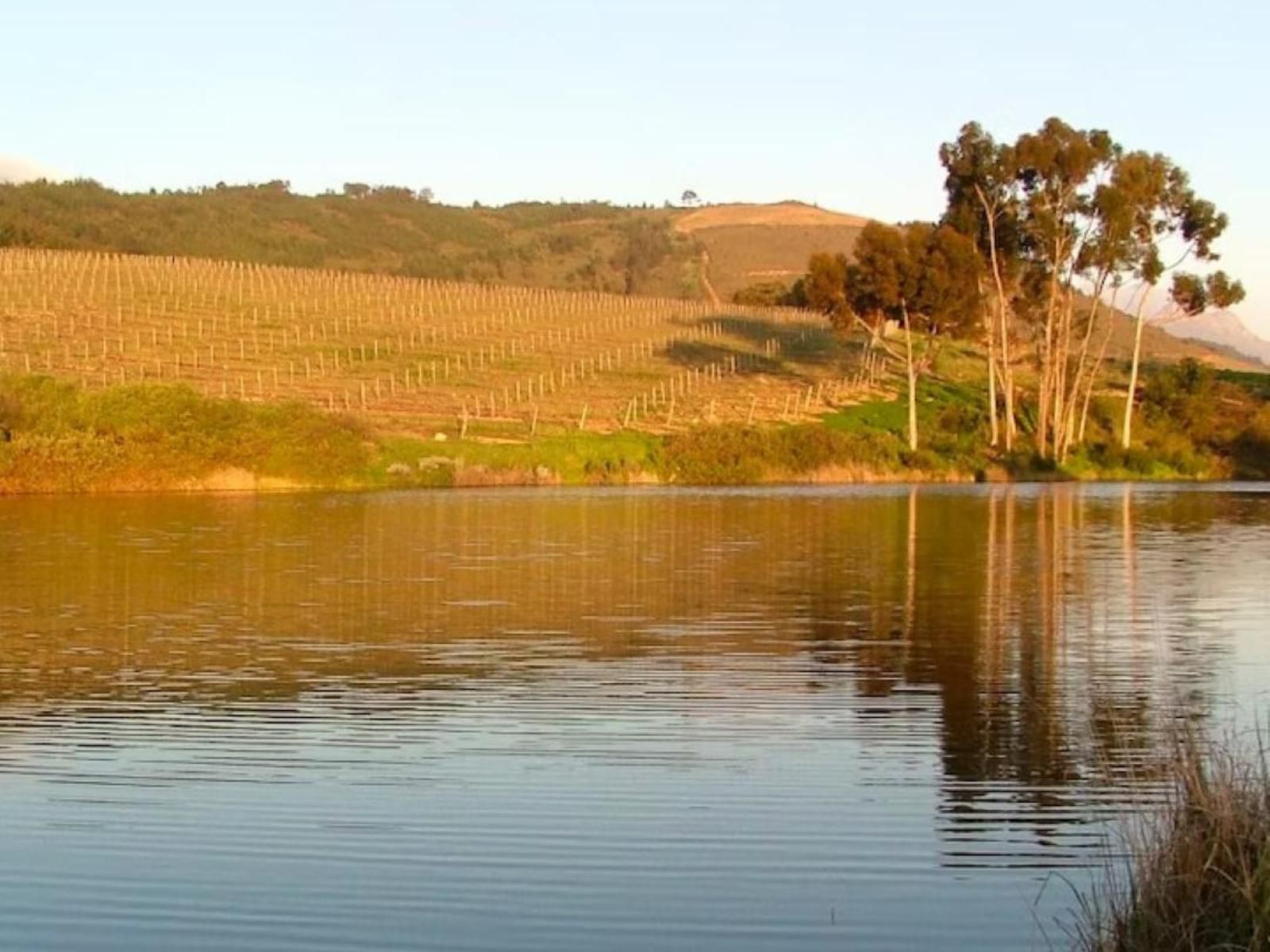 Zebra Cottage And Lodge, Lake, Nature, Waters, River