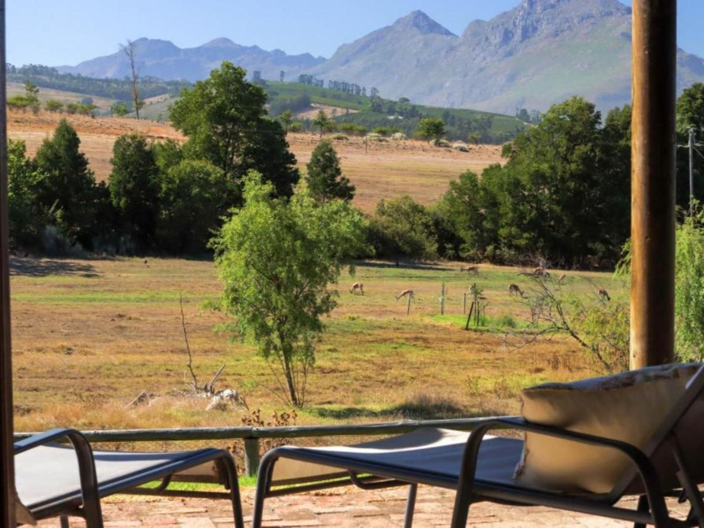 Zebra Cottage And Lodge, Mountain, Nature